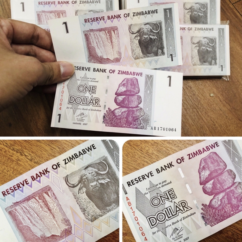 Tiền Hình Con Trâu Zimbabwe