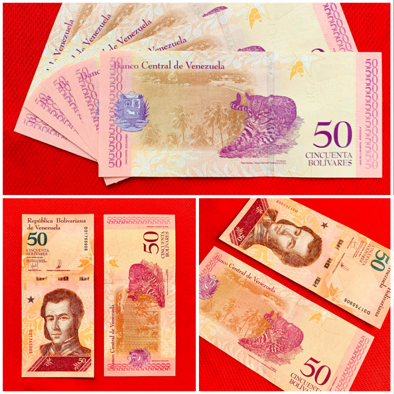 Tiền Con Mèo Venezuela 50 Bolivar